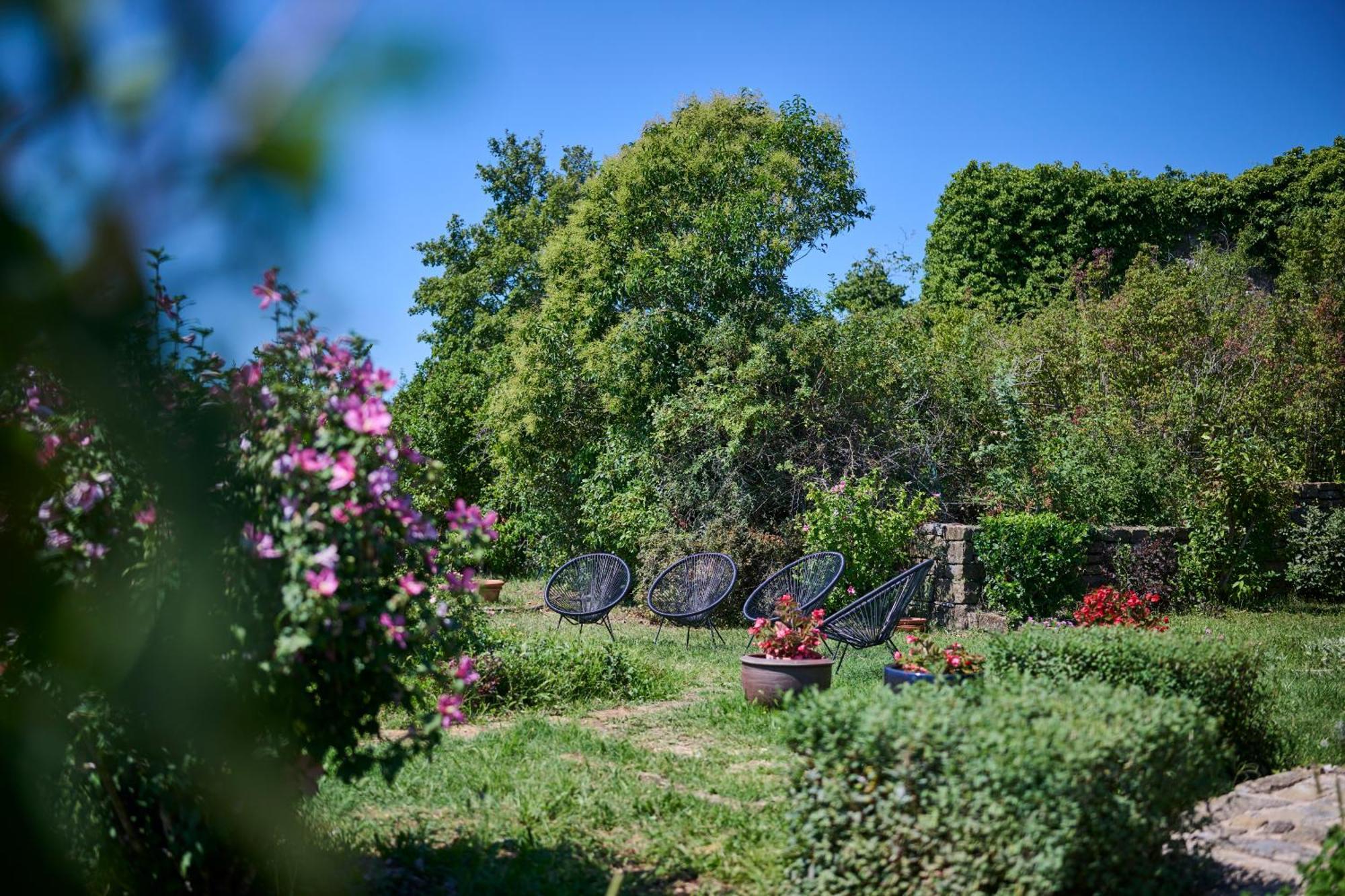 Casa Del Conte - Peaceful Hideaway In North Istria Villa Groznjan Ngoại thất bức ảnh