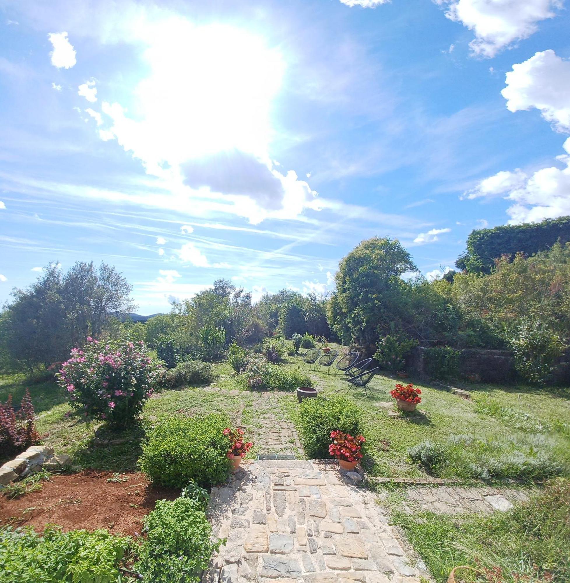 Casa Del Conte - Peaceful Hideaway In North Istria Villa Groznjan Ngoại thất bức ảnh